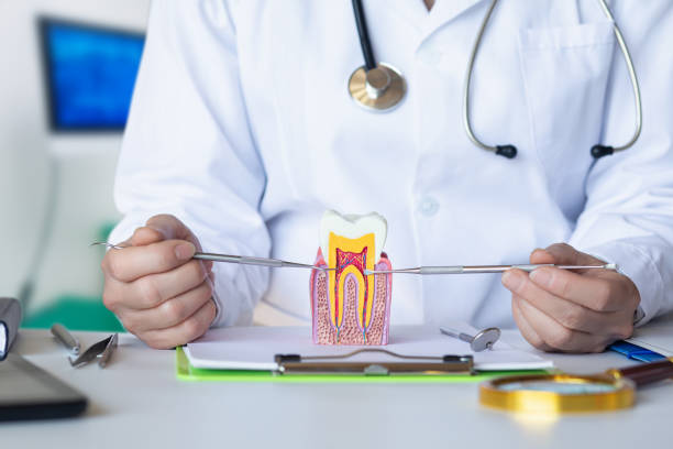 Best Emergency Root Canal Therapy in Finley, WA